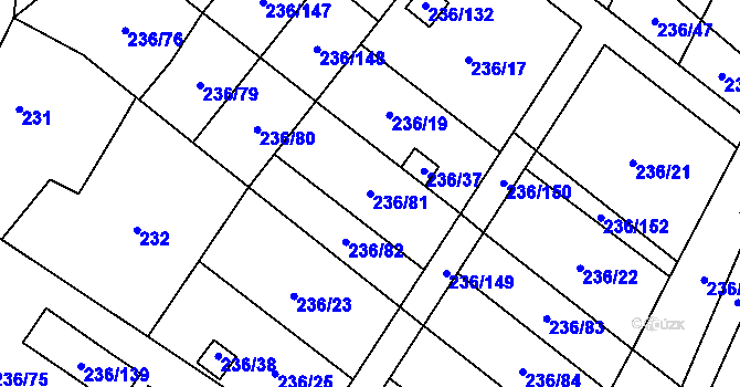 Parcela st. 236/81 v KÚ Oblekovice, Katastrální mapa