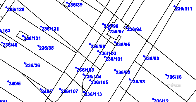 Parcela st. 236/100 v KÚ Oblekovice, Katastrální mapa