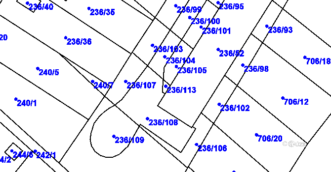 Parcela st. 236/113 v KÚ Oblekovice, Katastrální mapa
