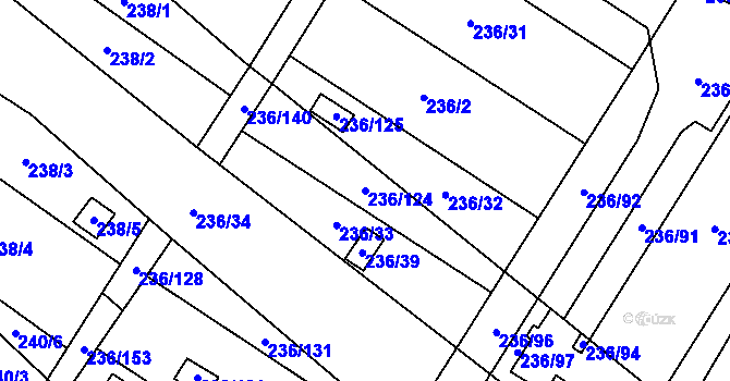 Parcela st. 236/124 v KÚ Oblekovice, Katastrální mapa