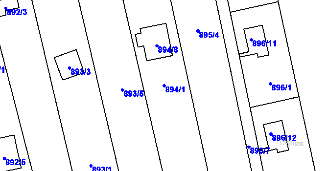 Parcela st. 894/1 v KÚ Oblekovice, Katastrální mapa