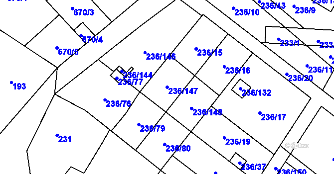 Parcela st. 236/147 v KÚ Oblekovice, Katastrální mapa