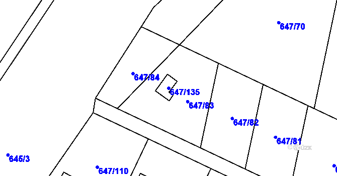 Parcela st. 647/135 v KÚ Oblekovice, Katastrální mapa