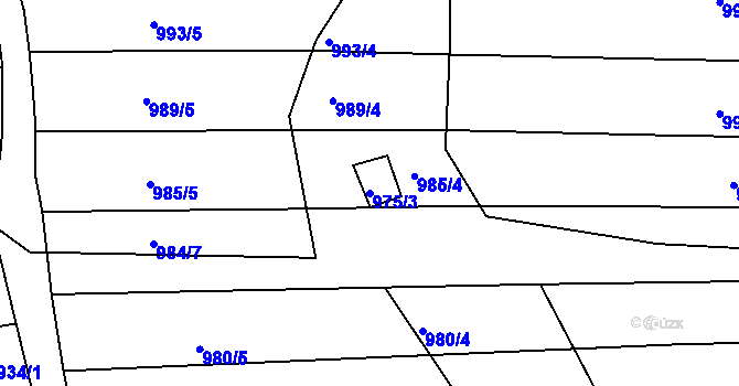 Parcela st. 975/3 v KÚ Obora u Kaznějova, Katastrální mapa
