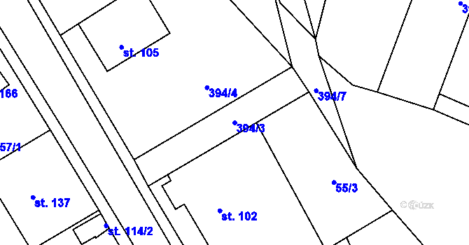 Parcela st. 394/3 v KÚ Ochoz u Nasavrk, Katastrální mapa
