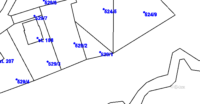 Parcela st. 529/1 v KÚ Ochoz u Nasavrk, Katastrální mapa
