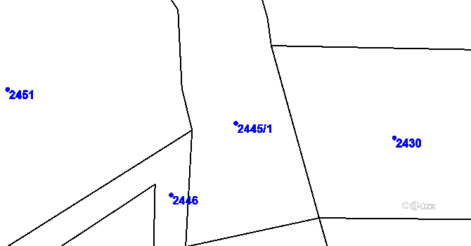 Parcela st. 2445/1 v KÚ Ochoz u Konice, Katastrální mapa