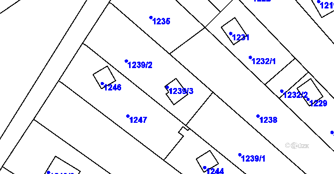Parcela st. 1239/3 v KÚ Ochoz u Brna, Katastrální mapa
