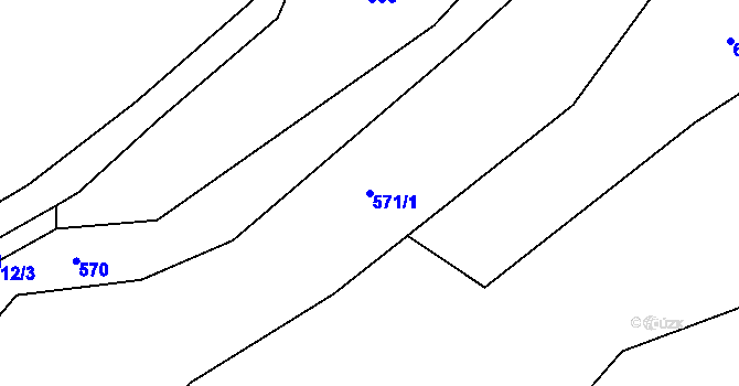 Parcela st. 571/1 v KÚ Salajna, Katastrální mapa