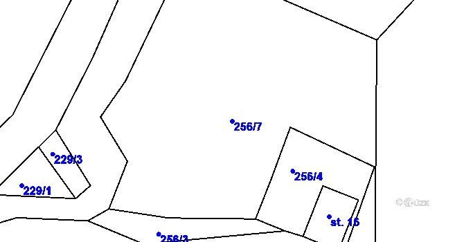 Parcela st. 256/7 v KÚ Salajna, Katastrální mapa