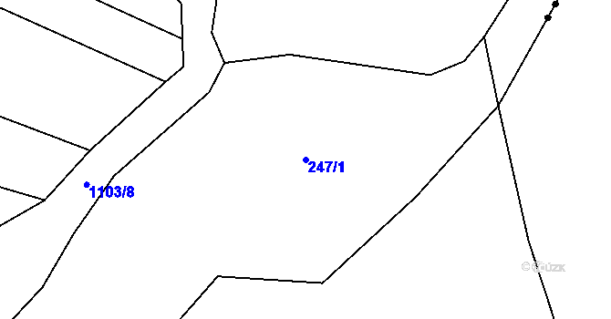 Parcela st. 247/1 v KÚ Olešnice u Okrouhlice, Katastrální mapa