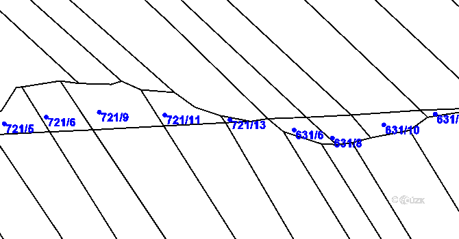 Parcela st. 721/13 v KÚ Olešnice u Okrouhlice, Katastrální mapa
