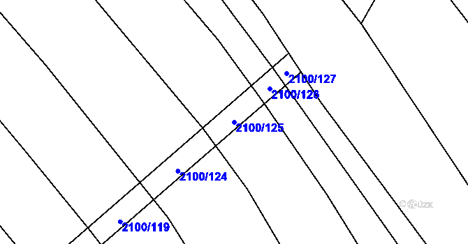 Parcela st. 2100/125 v KÚ Olbramkostel, Katastrální mapa