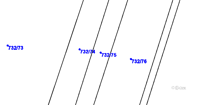Parcela st. 732/75 v KÚ Oldřišov, Katastrální mapa