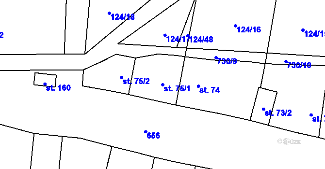 Parcela st. 75/1 v KÚ Olešná u Rakovníka, Katastrální mapa
