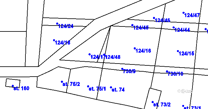 Parcela st. 124/48 v KÚ Olešná u Rakovníka, Katastrální mapa