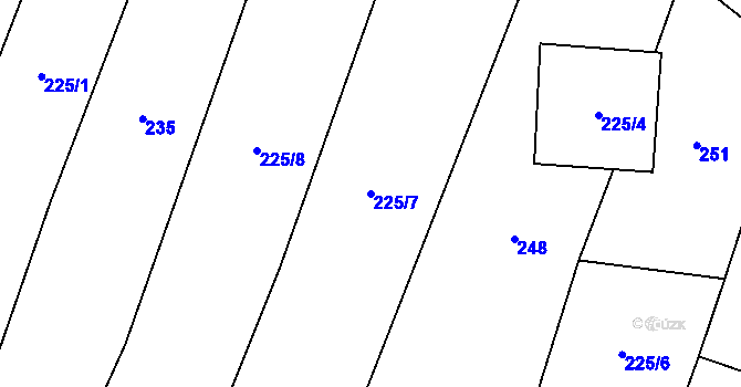 Parcela st. 225/7 v KÚ Olešná u Havlíčkova Brodu, Katastrální mapa