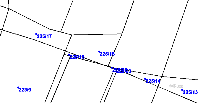 Parcela st. 225/16 v KÚ Olešná u Havlíčkova Brodu, Katastrální mapa