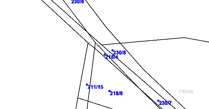 Parcela st. 218/4 v KÚ Olešná u Blanska, Katastrální mapa