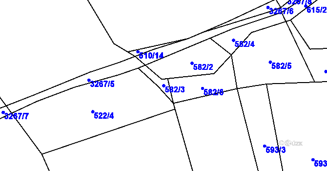 Parcela st. 582/3 v KÚ Olešnice u Trhových Svinů, Katastrální mapa