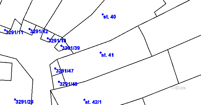 Parcela st. 41 v KÚ Olešnice u Trhových Svinů, Katastrální mapa