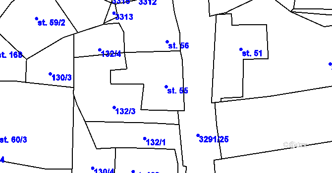 Parcela st. 55 v KÚ Olešnice u Trhových Svinů, Katastrální mapa