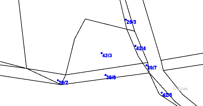 Parcela st. 42/3 v KÚ Olešnice u Trhových Svinů, Katastrální mapa