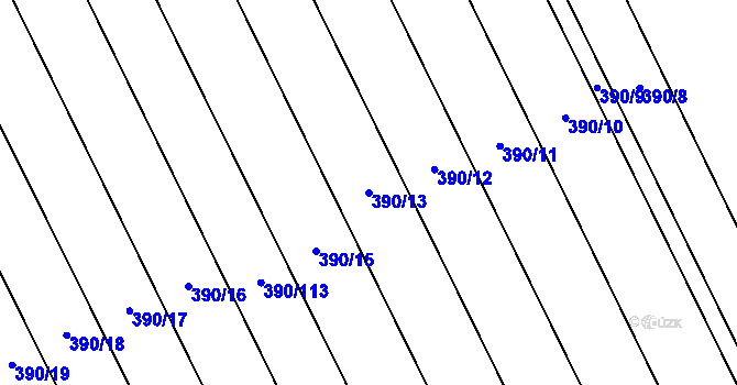 Parcela st. 390/13 v KÚ Olešnice u Trhových Svinů, Katastrální mapa