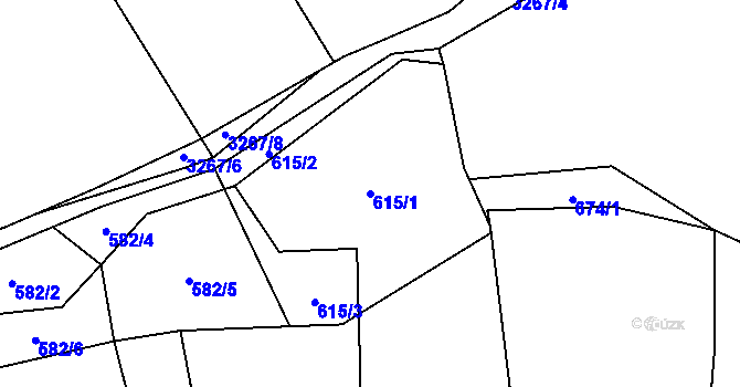 Parcela st. 615/1 v KÚ Olešnice u Trhových Svinů, Katastrální mapa