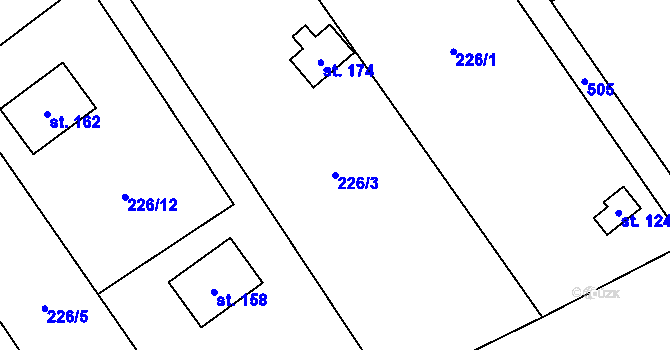 Parcela st. 226/3 v KÚ Olešnice nad Cidlinou, Katastrální mapa
