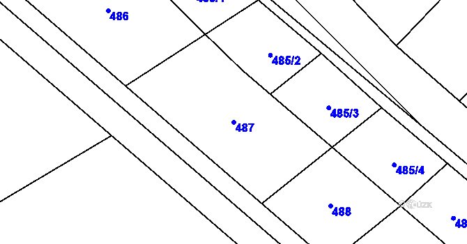 Parcela st. 487 v KÚ Olešnice nad Cidlinou, Katastrální mapa