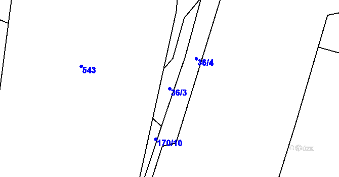 Parcela st. 36/3 v KÚ Olešnice nad Cidlinou, Katastrální mapa