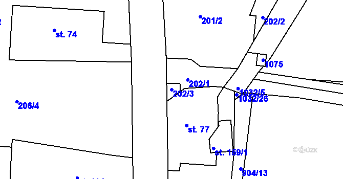 Parcela st. 202/3 v KÚ Olešnice u Rychnova nad Kněžnou, Katastrální mapa