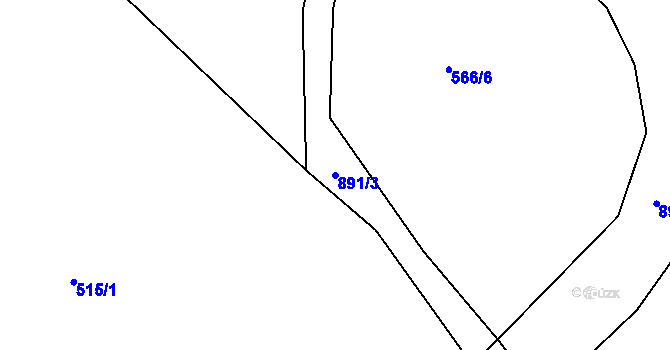 Parcela st. 891/3 v KÚ Olešnice u Turnova, Katastrální mapa