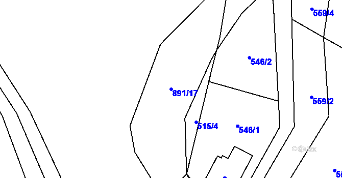 Parcela st. 891/17 v KÚ Olešnice u Turnova, Katastrální mapa