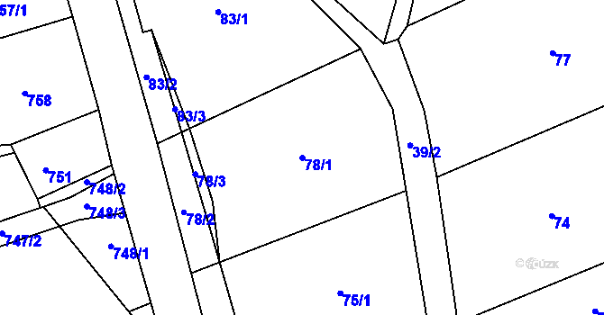 Parcela st. 78/1 v KÚ Olešnice na Moravě, Katastrální mapa