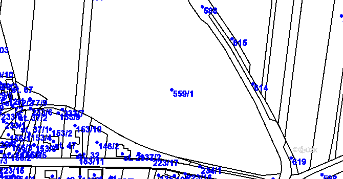 Parcela st. 559/1 v KÚ Nedaříž, Katastrální mapa