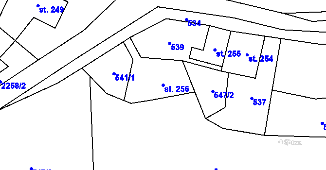 Parcela st. 256 v KÚ Olešnice v Orlických horách, Katastrální mapa