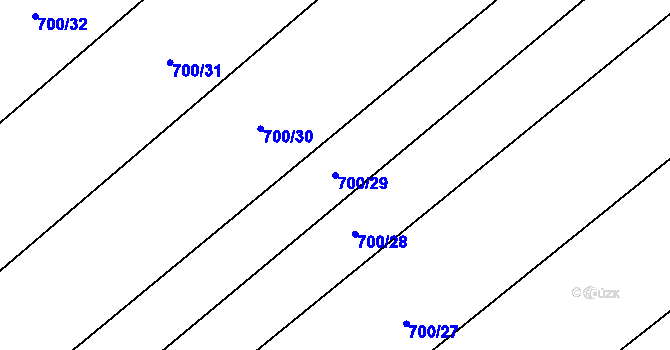 Parcela st. 700/29 v KÚ Olešník, Katastrální mapa