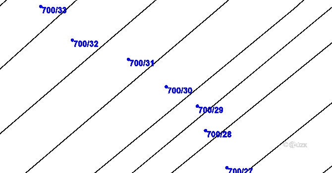 Parcela st. 700/30 v KÚ Olešník, Katastrální mapa