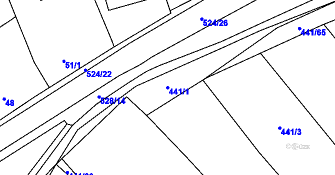 Parcela st. 441/1 v KÚ Olešník, Katastrální mapa