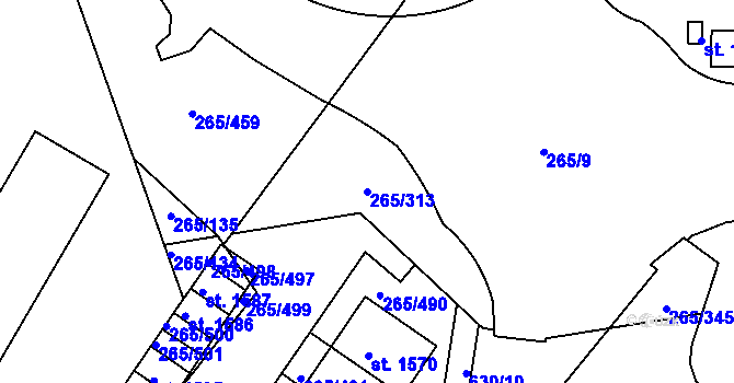 Parcela st. 265/313 v KÚ Neředín, Katastrální mapa