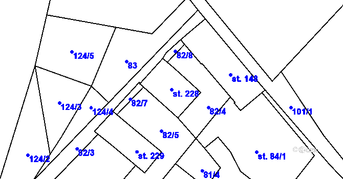 Parcela st. 228 v KÚ Pavlovičky, Katastrální mapa