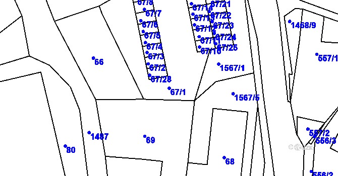 Parcela st. 67/1 v KÚ Olomučany, Katastrální mapa