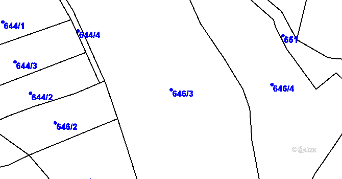 Parcela st. 646/3 v KÚ Olomučany, Katastrální mapa