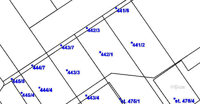 Parcela st. 442/1 v KÚ Olšany u Prostějova, Katastrální mapa