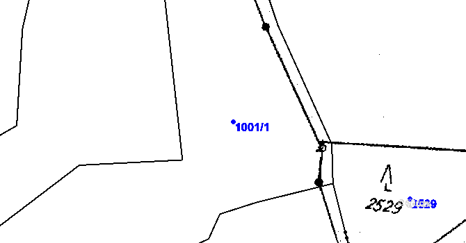 Parcela st. 1001/1 v KÚ Olšovec, Katastrální mapa