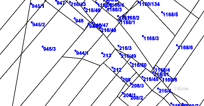 Parcela st. 213 v KÚ Omice, Katastrální mapa