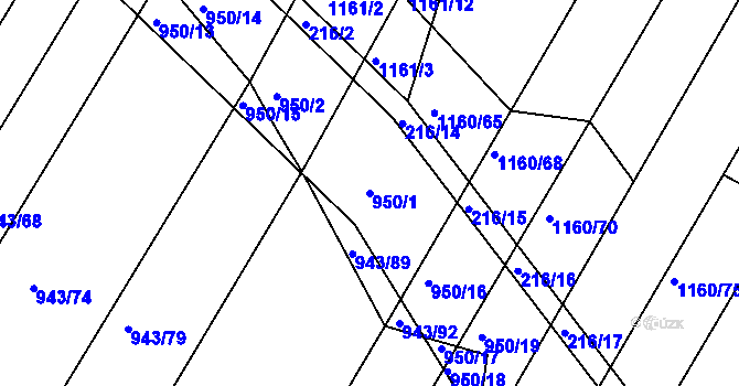 Parcela st. 950/1 v KÚ Omice, Katastrální mapa