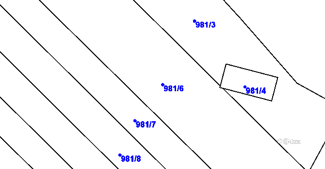 Parcela st. 981/6 v KÚ Omice, Katastrální mapa